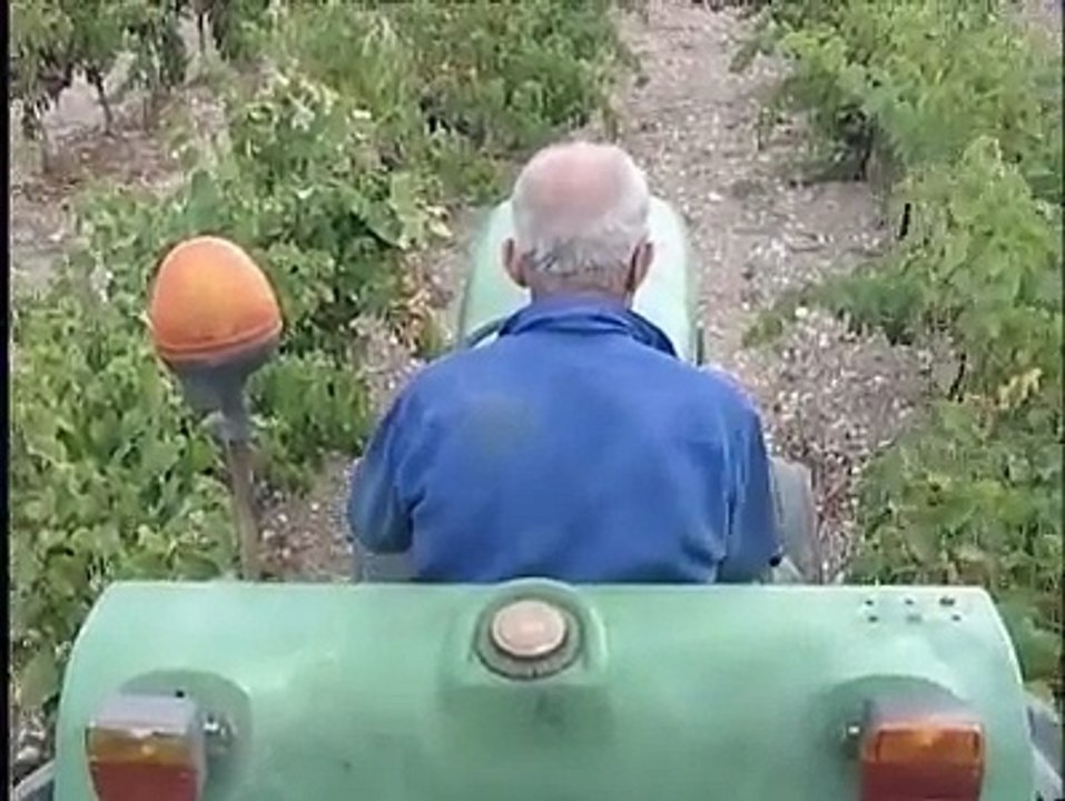 REPORTAGES : Vignerons à Saint-Julien - 26 09 2006