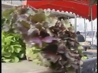 JOURNAL : Journal du mardi 13 février 2007