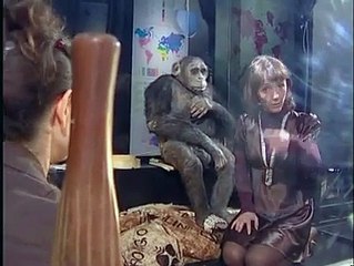 CULTURE : JTRV - Le musée des langues - 8 02 2007