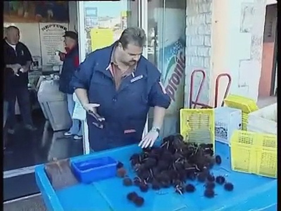 REPORTAGES : Rétrospective, novembre 2007 - 31 12 2007