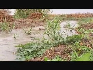 REPORTAGES : La petite rivière - conte premier - 12 09 2007