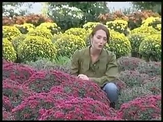 JOURNAL : Journal du jeudi 23 octobre 2008