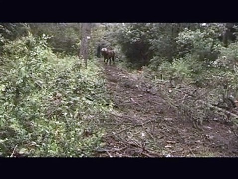 REPORTAGES : Les hommes du Luberon, Ceux qui vivent leurs rêves - 28 10 2008