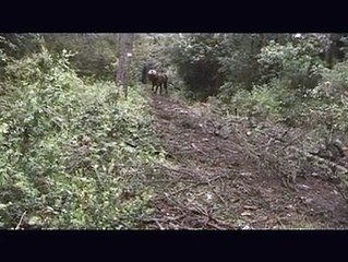 REPORTAGES : Les hommes du Luberon, Ceux qui vivent leurs rêves - 28 10 2008