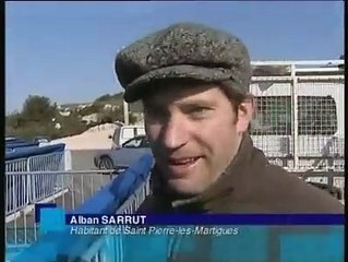 JOURNAL : journal du vendredi 20 février 2009