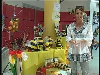 JOURNAL : Journal du mercredi 27 mai 2009