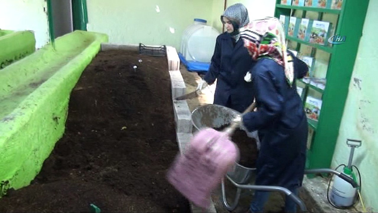 Bileziklerini satıp, organik solucan gübresi üretimine başladılar