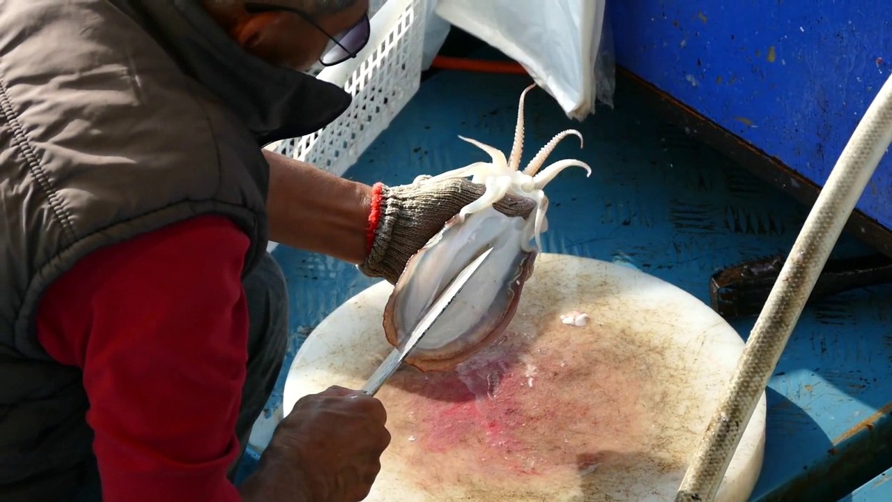 PESCA ARTESANAL TRADICIONAL EN ASIA