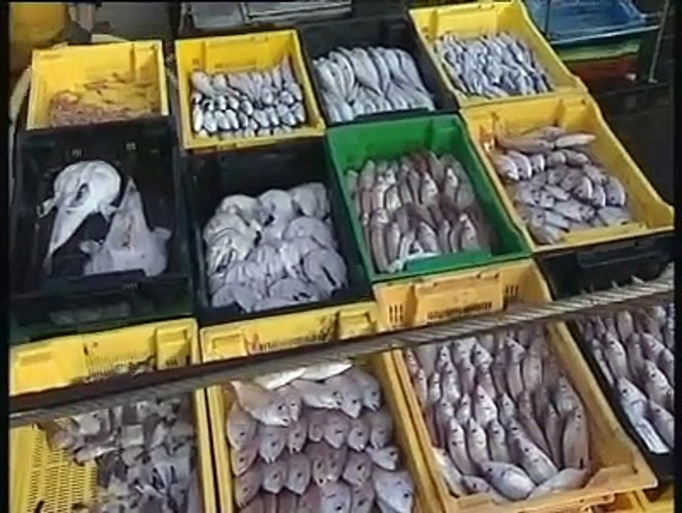 JOURNAL : Journal du jeudi 18 mars 2010