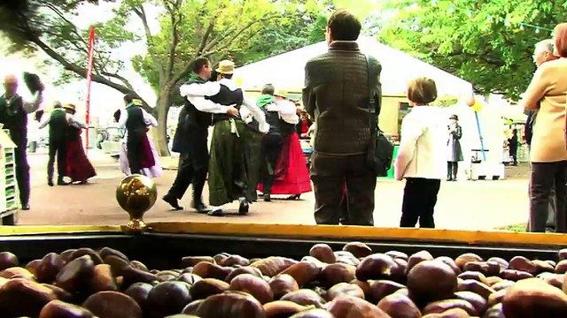 JOURNAL : Journal du 29/10/2010