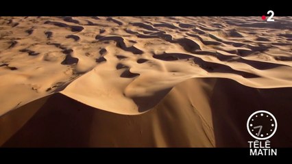 Echos du monde - Muraille verte contre dragon jaune