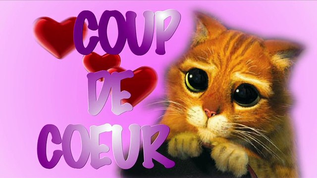 SPORTS : Journal des sports du 20 06 2011