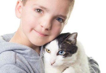 L'amitié entre cet enfant et son chat va vous faire fondre