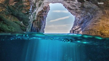 These Are The Best Underwater Photos Taken In The World