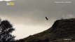 Massive Dinosaurs Footprints Were Found On The Isle of Skye