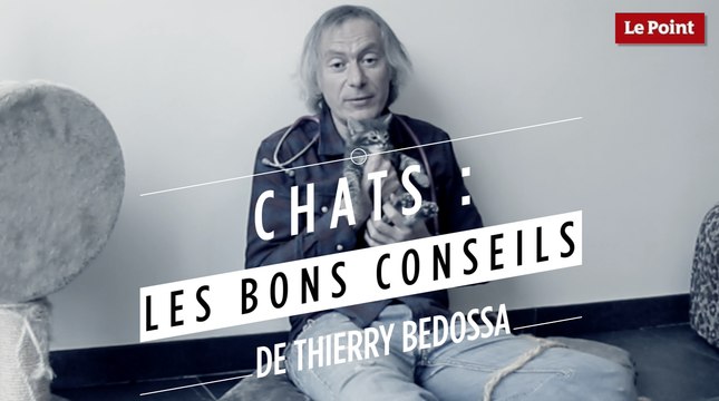 Thierry Bedossa : Choisir un chat de race ou un chat de gouttière ?