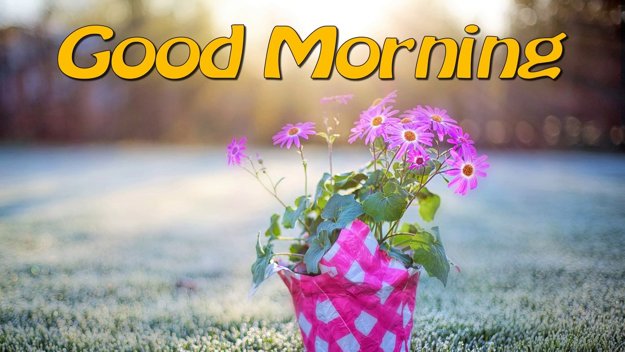 Best Good Morning Wishes | Video Greetings | Good Morning Message | Whatsapp Message