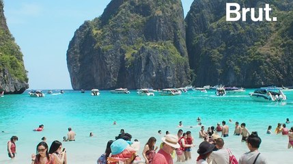 Le célèbre décor du film "La Plage", Maya Bay, va fermer ses portes