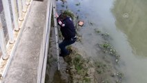 Kanala düşen köpek yavrusunu itfaiye kurtardı - ÇORUM