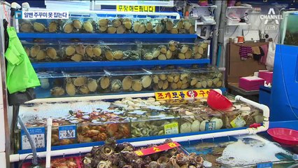 ‘알배기 주꾸미’ 못 잡는다…5~8월 어획 땐 처벌