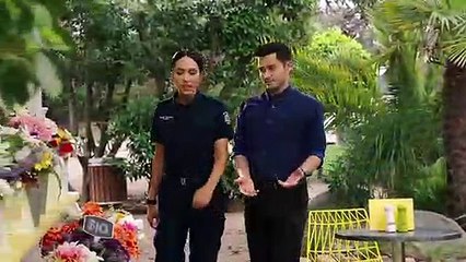 Neighbours 3rd April 2018 (7812)