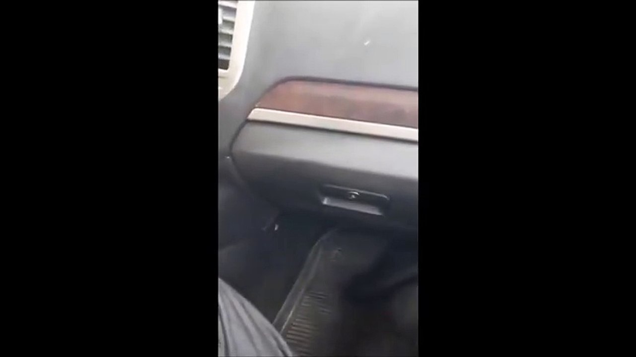 تسريب : عركة النّايب فيصل التبيني مع الشّيفور المصري