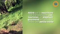 Un éléphant démonte les sièges d'une voiture