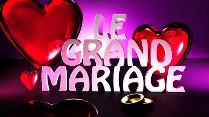 LE GRAND MARIAGE : Elodie et Fabrice le quizz