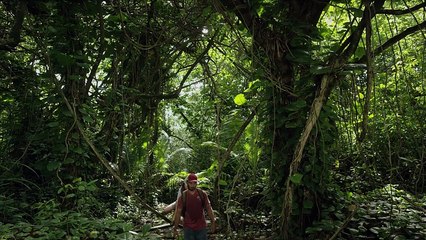 The Search for Life in Space 2016 Greek Subs