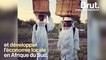 Comment les abeilles peuvent changer l'Afrique du Sud
