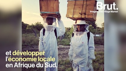 Comment les abeilles peuvent changer l'Afrique du Sud