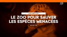 Le zoo pour sauver les espèces menacées