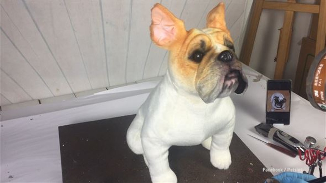 Tierische doppelgänger: unsterbliche haustiere per post