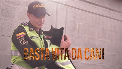 Basta vita da cani: meglio fare i poliziotti!
