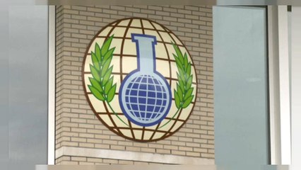 Rusia queda excluida de la investigación sobre el caso Skripal