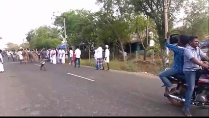 The best place to film a bull race...