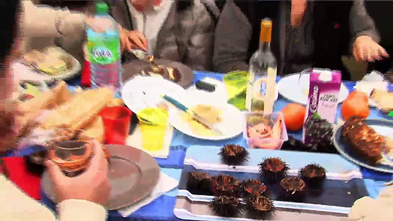 LA REVUE : La revue : Emile Ladsous/Pdt du comité des Fêtes de Sausset les Pins