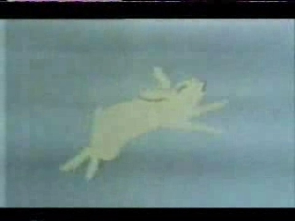100 Greatest Cartoons 4/21 - Tvdownloads.dr.ag