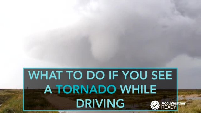 AccuWeather Video Package 60D