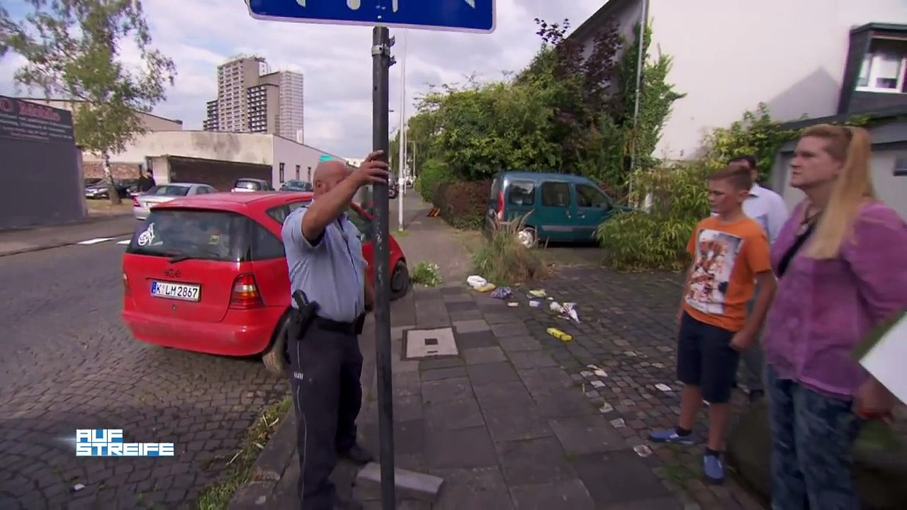 Aufgemalter Zebrastreifen: Mann fährt jungen Skateboarder (13) um! | Auf Streife | SAT.1 TV
