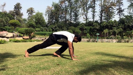 Chakra dand, चक्रदण्ड, Hindu Pushups
