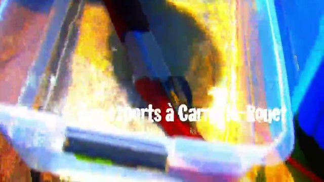 VUE D'ICI : Vue d'ici : « Des experts à Carry-le-Rouet » 18 06 13