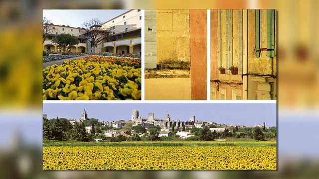 LA REVUE : La revue : Vladimir Biaggi/Livre De Marseille en Provence