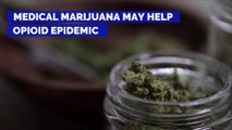 Medical Marijuana May Help Opioid Epidemic
