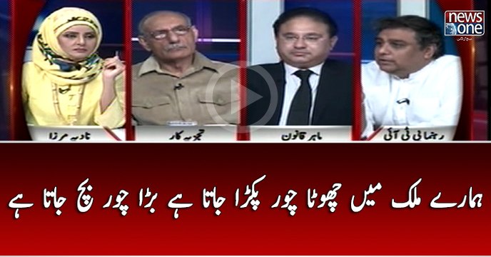 Hamaray Mulk Main Chota Choor Pakra Jata Hai Bara Choor Bach Jata Hai..