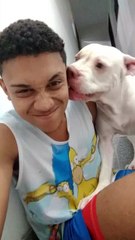 I Can Lick You, But You Can't Lick Me