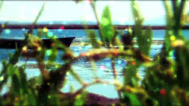 13 été : 13 été à Arles