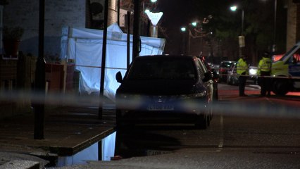 Teenage girl shot dead in Tottenham