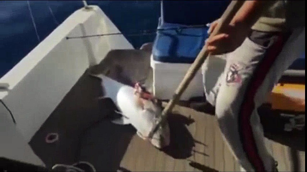 Harika balık avı - Volkan Uygur - ALANYA | Kalkan kardeşler jigging videoları