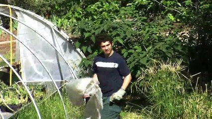 LA REVUE : La revue : Jean Pierre Blondeau/Philippe Vasselier/Chrysalide Martigues